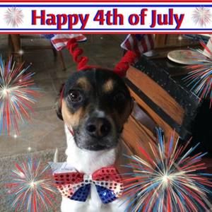 Meet your Posher, Wendy